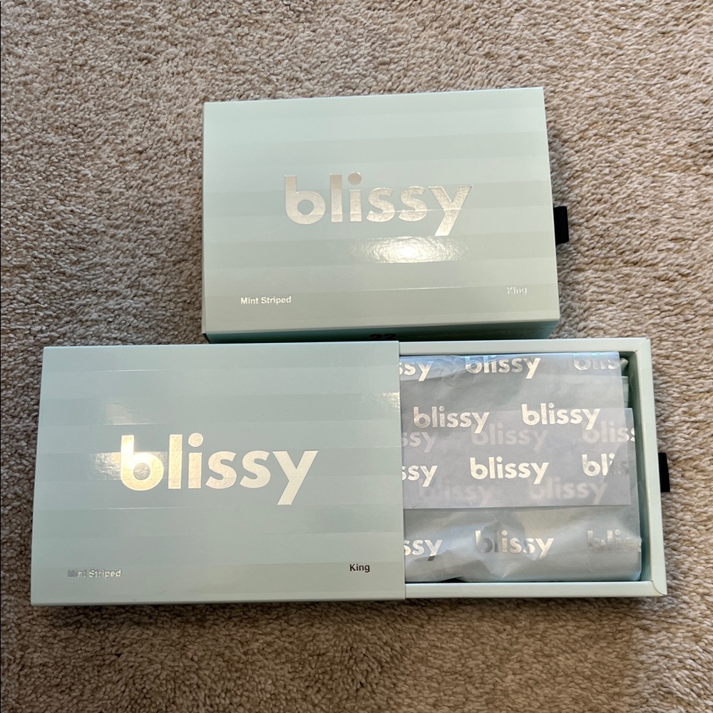 Blissy Mint Green 2 Striped King Size Pillowcases - Picture 3 of 7
